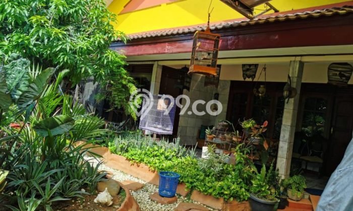 Dijual Hunian Mewah dengan Fasilitas Sekitar Lengkap di Semarang Tengah, Semarang Dijual Hunian Mewah dengan Fasilitas Sekitar Lengkap di Semarang Tengah, Semarang