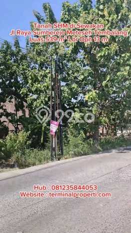 Tanah Disewakan Lokasi Semarang Seluas 539m2 Strategis dan Aman Tanah Disewakan Lokasi Semarang Seluas 539m2 Strategis dan Aman