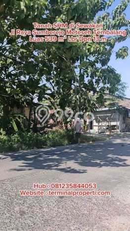 Lahan Disewakan Lokasi Meteseh Semarang Luas 539m2 Lahan Disewakan Lokasi Meteseh Semarang Luas 539m2