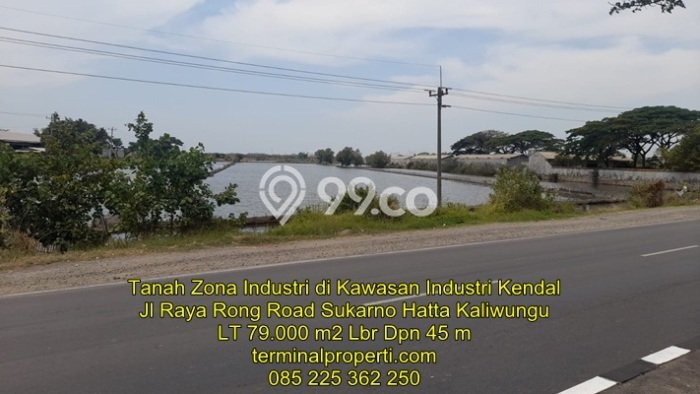 Kavling Tanah Dijual di Kaliwungu Semarang Spesifikasi 79244m2 Kavling Tanah Dijual di Kaliwungu Semarang Spesifikasi 79244m2