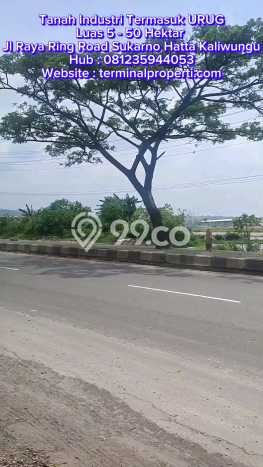 Dijual Tanah di Kaliwungu Semarang Luas 50000m2 SHM Dijual Tanah di Kaliwungu Semarang Luas 50000m2 SHM