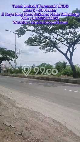 Dijual Tanah di Kaliwungu Semarang Luas 50000m2 SHM Dijual Tanah di Kaliwungu Semarang Luas 50000m2 SHM