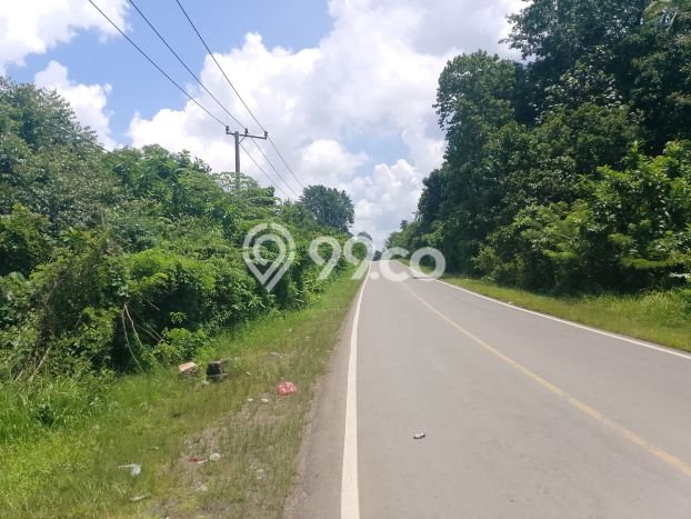 Tanah Dijual Lokasi Tinanggea Konawe Selatan SHM Tanah Dijual Lokasi Tinanggea Konawe Selatan SHM