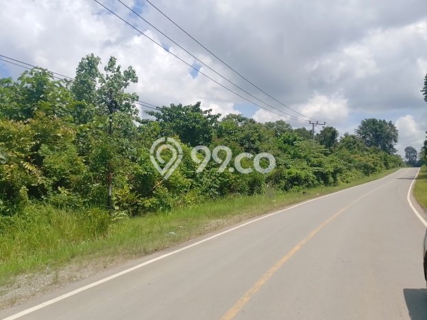 Tanah Dijual Lokasi Tinanggea Konawe Selatan SHM Tanah Dijual Lokasi Tinanggea Konawe Selatan SHM