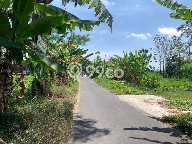 Untuk Dijual Tanah 498m2 di Sleman, Yogyakarta Untuk Dijual Tanah 498m2 di Sleman, Yogyakarta