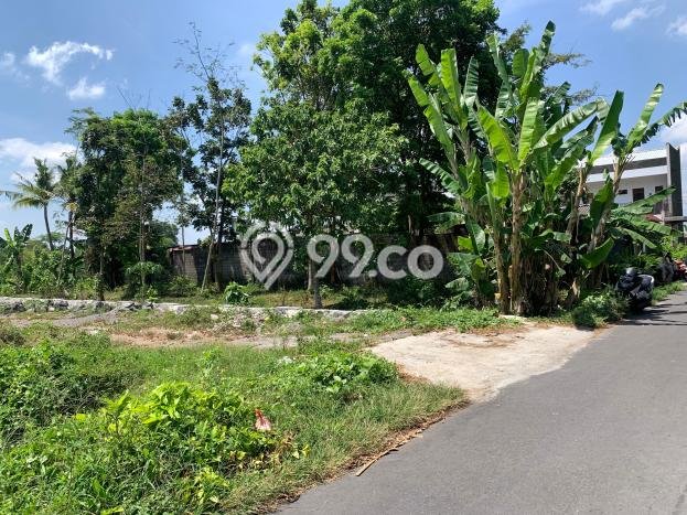 Untuk Dijual Tanah 498m2 di Sleman, Yogyakarta Untuk Dijual Tanah 498m2 di Sleman, Yogyakarta