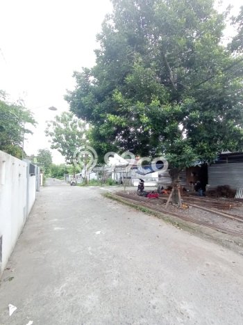 Tanah Investasi Dijual di Yogyakarta Punya Luas 188m2 Tanah Investasi Dijual di Yogyakarta Punya Luas 188m2