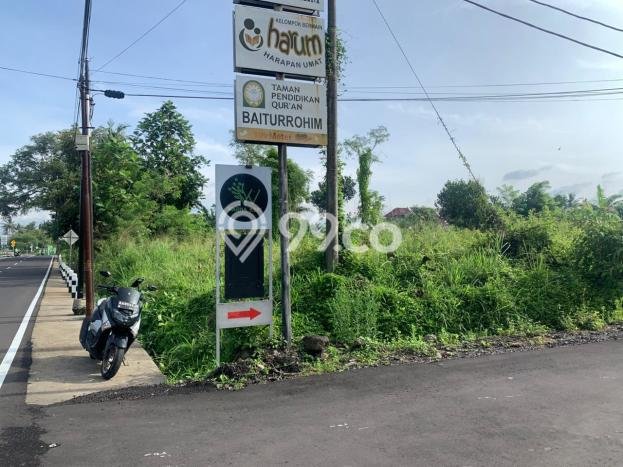 Jarang Ada! Tanah di Sleman Punya Luas 1135m2 SHM Jarang Ada! Tanah di Sleman Punya Luas 1135m2 SHM