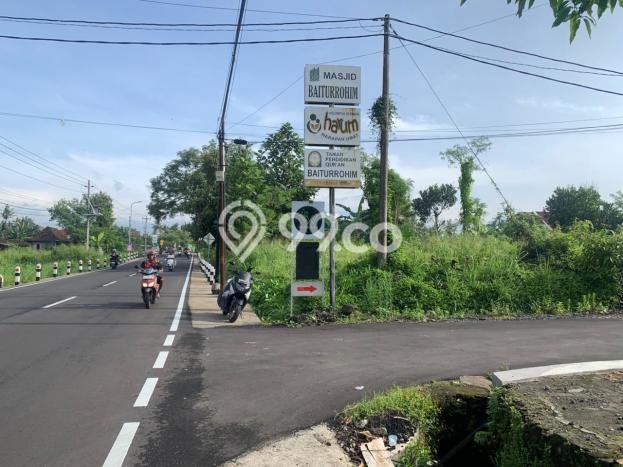 Jarang Ada! Tanah di Sleman Punya Luas 1135m2 SHM Jarang Ada! Tanah di Sleman Punya Luas 1135m2 SHM