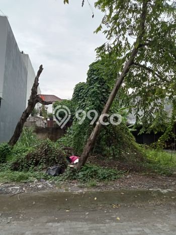 Tanah Dijual Lokasi Sleman Sleman SHM Tanah Dijual Lokasi Sleman Sleman SHM