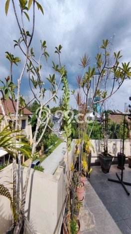 Rumah LT 492m² / LB 1200m² Fasilitas Gym di Karawaci, Tangerang Rumah LT 492m² / LB 1200m² Fasilitas Gym di Karawaci, Tangerang