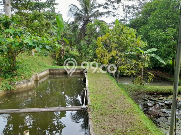 Hunian Nyaman Asri 3 KT Siap Huni di Kota Sukabumi Sukabumi Hunian Nyaman Asri 3 KT Siap Huni di Kota Sukabumi Sukabumi