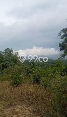 Lahan Investasi Lokasi Bogor Selatan Bogor SHM Lahan Investasi Lokasi Bogor Selatan Bogor SHM