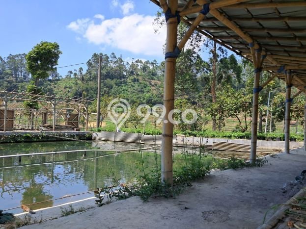 Vila Kawasan Ciwidey, Luas 5850m2m², Akses ke Pusat Kota Vila Kawasan Ciwidey, Luas 5850m2m², Akses ke Pusat Kota