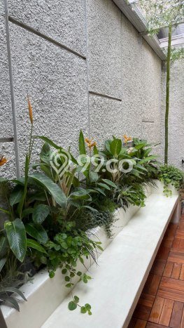 Rumah Luas Asri 3 KT Siap Pakai di Padalarang Bandung Rumah Luas Asri 3 KT Siap Pakai di Padalarang Bandung