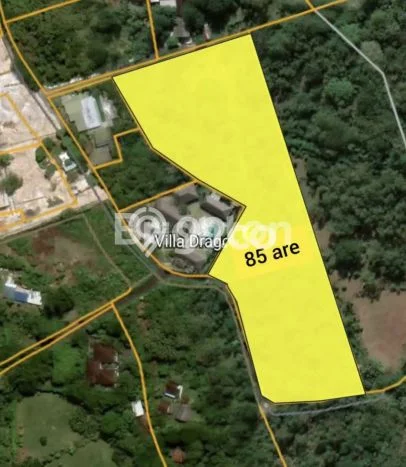 Lahan Dijual Lokasi Strategis di Badung dengan Luas 8500m2 Lahan Dijual Lokasi Strategis di Badung dengan Luas 8500m2