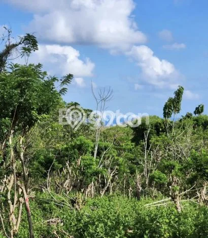 Lahan Dijual Lokasi Strategis di Badung dengan Luas 8500m2 Lahan Dijual Lokasi Strategis di Badung dengan Luas 8500m2