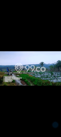 Lahan Dijual Lokasi Parakan Salak, Sukabumi dengan Luas Tanah 3000m2 dan Status SHM Lahan Dijual Lokasi Parakan Salak, Sukabumi dengan Luas Tanah 3000m2 dan Status SHM