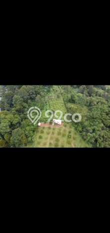 Untuk Dijual Tanah di Parakan Salak Sukabumi Luas 120000m2 SHM Untuk Dijual Tanah di Parakan Salak Sukabumi Luas 120000m2 SHM