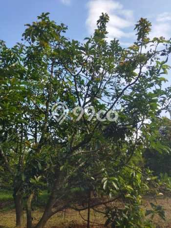 Untuk Dijual Tanah di Parakan Salak Sukabumi Luas 120000m2 SHM Untuk Dijual Tanah di Parakan Salak Sukabumi Luas 120000m2 SHM