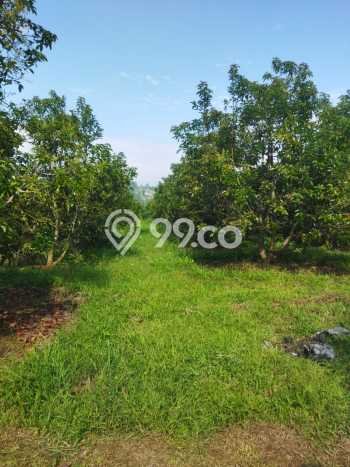 Untuk Dijual Tanah di Parakan Salak Sukabumi Luas 120000m2 SHM Untuk Dijual Tanah di Parakan Salak Sukabumi Luas 120000m2 SHM