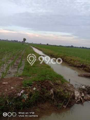 Dijual Tanah di Subang Subang Luas 6e+06m2 SHM Dijual Tanah di Subang Subang Luas 6e+06m2 SHM
