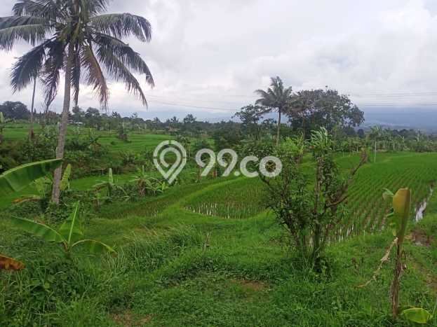 Lahan Strategis di Cicurug Dijual dengan Luas 20000m2 Lahan Strategis di Cicurug Dijual dengan Luas 20000m2