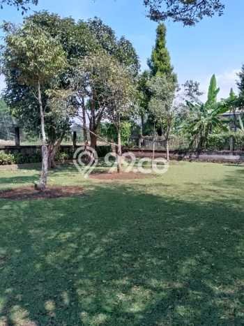 Tanah Kavling untuk Dijual di Cigombong Bogor 1700m2 Tanah Kavling untuk Dijual di Cigombong Bogor 1700m2