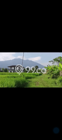 Lahan untuk Dijual Lokasi Cidahu, Sukabumi Luas 14000m2 AJB Lahan untuk Dijual Lokasi Cidahu, Sukabumi Luas 14000m2 AJB