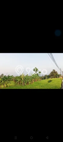 Dijual Tanah di Cicurug Sukabumi Luas 50000m2 SHM Dijual Tanah di Cicurug Sukabumi Luas 50000m2 SHM