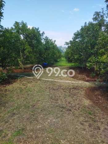 Untuk Dijual Tanah di Parakan Salak Sukabumi Luas 120000m2 SHM Untuk Dijual Tanah di Parakan Salak Sukabumi Luas 120000m2 SHM