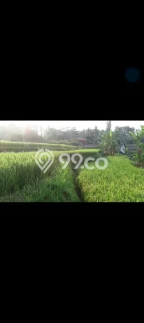 Dijual Tanah di Cicurug Sukabumi Luas 50000m2 SHM Dijual Tanah di Cicurug Sukabumi Luas 50000m2 SHM