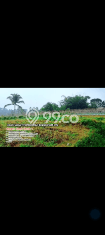 Lahan Dijual Lokasi Parakan Salak, Sukabumi dengan Luas Tanah 3000m2 dan Status SHM Lahan Dijual Lokasi Parakan Salak, Sukabumi dengan Luas Tanah 3000m2 dan Status SHM