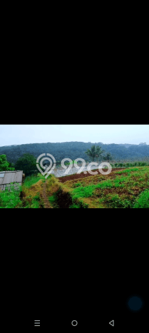 Lahan Dijual Lokasi Parakan Salak, Sukabumi dengan Luas Tanah 3000m2 dan Status SHM Lahan Dijual Lokasi Parakan Salak, Sukabumi dengan Luas Tanah 3000m2 dan Status SHM