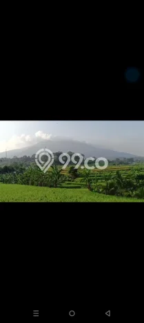 Dijual Tanah di Cicurug Sukabumi Luas 50000m2 SHM Dijual Tanah di Cicurug Sukabumi Luas 50000m2 SHM