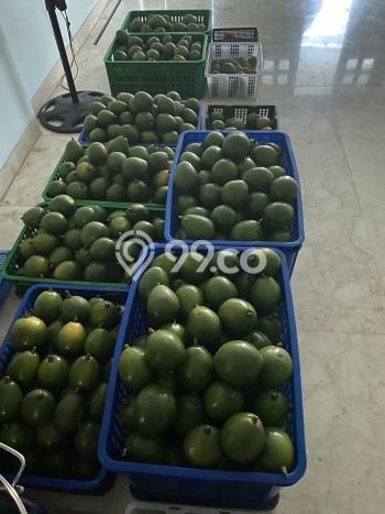 Untuk Dijual Tanah di Parakan Salak Sukabumi Luas 120000m2 SHM Untuk Dijual Tanah di Parakan Salak Sukabumi Luas 120000m2 SHM