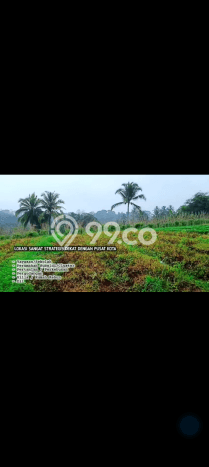 Lahan Dijual Lokasi Parakan Salak, Sukabumi dengan Luas Tanah 3000m2 dan Status SHM Lahan Dijual Lokasi Parakan Salak, Sukabumi dengan Luas Tanah 3000m2 dan Status SHM