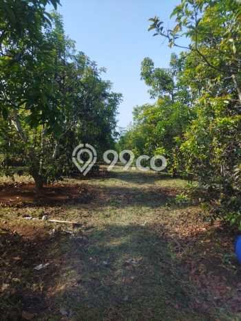 Untuk Dijual Tanah di Parakan Salak Sukabumi Luas 120000m2 SHM Untuk Dijual Tanah di Parakan Salak Sukabumi Luas 120000m2 SHM