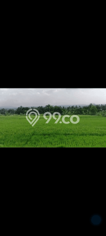 Lahan untuk Dijual Lokasi Cidahu, Sukabumi Luas 14000m2 AJB Lahan untuk Dijual Lokasi Cidahu, Sukabumi Luas 14000m2 AJB