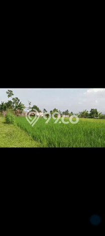 Lahan untuk Dijual Lokasi Cidahu, Sukabumi Luas 14000m2 AJB Lahan untuk Dijual Lokasi Cidahu, Sukabumi Luas 14000m2 AJB