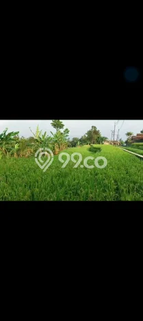 Dijual Tanah di Cicurug Sukabumi Luas 50000m2 SHM Dijual Tanah di Cicurug Sukabumi Luas 50000m2 SHM