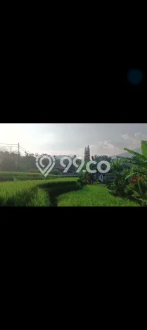 Dijual Tanah di Cicurug Sukabumi Luas 50000m2 SHM Dijual Tanah di Cicurug Sukabumi Luas 50000m2 SHM