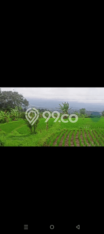 Lahan Strategis di Cicurug Dijual dengan Luas 20000m2 Lahan Strategis di Cicurug Dijual dengan Luas 20000m2