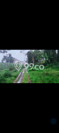 Lahan Dijual Lokasi Parakan Salak, Sukabumi dengan Luas Tanah 3000m2 dan Status SHM Lahan Dijual Lokasi Parakan Salak, Sukabumi dengan Luas Tanah 3000m2 dan Status SHM