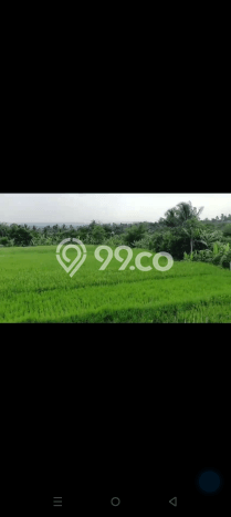 Lahan untuk Dijual Lokasi Cidahu, Sukabumi Luas 14000m2 AJB Lahan untuk Dijual Lokasi Cidahu, Sukabumi Luas 14000m2 AJB