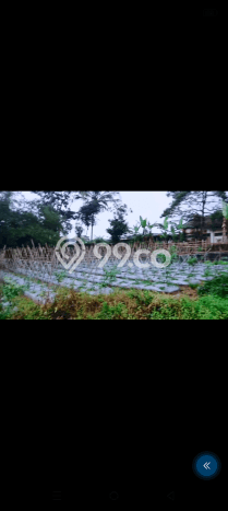 Lahan Dijual Lokasi Parakan Salak, Sukabumi dengan Luas Tanah 3000m2 dan Status SHM Lahan Dijual Lokasi Parakan Salak, Sukabumi dengan Luas Tanah 3000m2 dan Status SHM