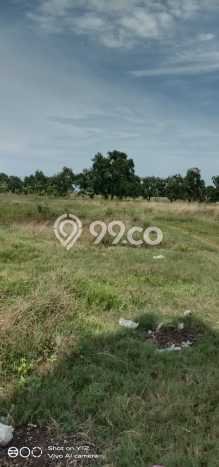 Dijual Tanah di Subang Subang Luas 6e+06m2 SHM Dijual Tanah di Subang Subang Luas 6e+06m2 SHM