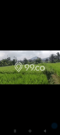 Lahan untuk Dijual Lokasi Cidahu, Sukabumi Luas 14000m2 AJB Lahan untuk Dijual Lokasi Cidahu, Sukabumi Luas 14000m2 AJB