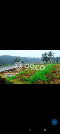 Lahan Dijual Lokasi Parakan Salak, Sukabumi dengan Luas Tanah 3000m2 dan Status SHM Lahan Dijual Lokasi Parakan Salak, Sukabumi dengan Luas Tanah 3000m2 dan Status SHM