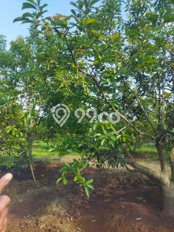Untuk Dijual Tanah di Parakan Salak Sukabumi Luas 120000m2 SHM Untuk Dijual Tanah di Parakan Salak Sukabumi Luas 120000m2 SHM